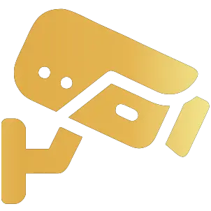 Security camera Icon